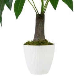 Northlight 18.5" Artificial Guiana Chestnut Plant In White Pot -Finest Home Decoration GUEST da501613 743a 46ed 956a 71b001639a45