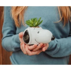 Silver Buffalo Peanuts Snoopy Face Ceramic Mini Planter With Artificial Succulent | 3.5"L X 5" H X 5" W -Finest Home Decoration GUEST df051a44 d6a4 437b 9e48 9af91fd7acab