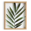 16" X 20" Blake Botanical 5F Framed Printed Glass By Amy Peterson Natural - Kate And Laurel -Finest Home Decoration GUEST e0594032 9028 4cdc be3d 3dfeae80c515