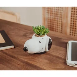 Silver Buffalo Peanuts Snoopy Face Ceramic Mini Planter With Artificial Succulent | 3.5"L X 5" H X 5" W -Finest Home Decoration GUEST e41006da 4b80 40ec a873 012202c17d66