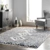 NuLOOM Transitional Regina Shag Area Rug