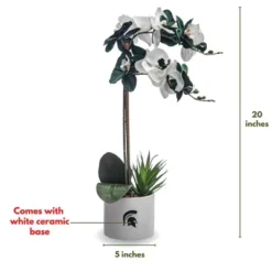 Forever Leaf Michigan State Faux Orchid, Indoor Artificial Plant For Home Decor -Finest Home Decoration GUEST ec9f9aeb 377b 4aab 8542 a96b7de77509