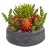 Nearly Natural 12-in Succulent Garden Artificial Plant In Bowl -Finest Home Decoration GUEST ee920bd8 21ea 4ce0 afe2 65146e746587