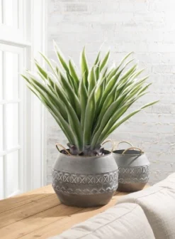 Sullivans Artificial Potted Varigated Agave 26"H Green 7 Sullivans Artificial Potted Varigated Agave 26"H Green -Finest Home Decoration GUEST eef1b541 eb87 4304 991b 3cc22d68c8ee