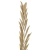 Vickerman Natural Botanicals 27" Rahul Stick Natural 8 Stems/Bunch. Each Rahul Stick Measures About 27 Inches Tall And 3.9 To 4.3 Inches Wide. It -Finest Home Decoration GUEST ef1b3c18 367f 4713 b379 5bf79e2ca1a6