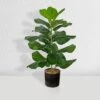 Forever Leaf 28" Artificial Fiddle Fig Leaf Plant In Black Pot, Indoor Artificial Plant For Home Decor 1 Forever Leaf 28" Artificial Fiddle Fig Leaf Plant In Black Pot, Indoor Artificial Plant For Home Decor -Finest Home Decoration GUEST f57fecb0 72c8 406c b1a4 e0672b392404