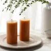 2pk Pillars Vanilla Pumpkin Orange - Threshold™ 1 2pk Pillars Vanilla Pumpkin Orange - Threshold™ -Finest Home Decoration GUEST fa13aebd 398f 4e50 af52 3d1987ab4a55