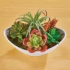 Collections Etc Faux Potted Artificial Succulent Arrangement 8 X 5 X 5 2 Collections Etc Faux Potted Artificial Succulent Arrangement 8 X 5 X 5 -Finest Home Decoration GUEST fe871eab 8a79 4fdb ab2b ce6dd45c04c0